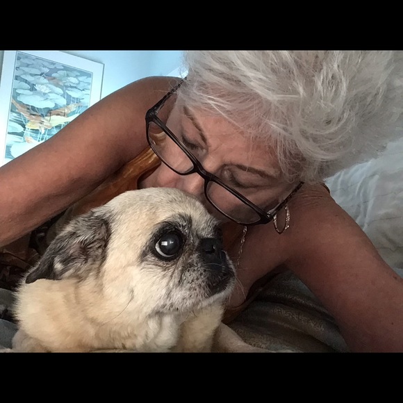 Posh Ambassador. - Picture 4 of 12